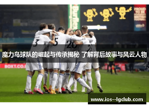 魔力鸟球队的崛起与传承揭秘 了解背后故事与风云人物 魔力鸟球队的崛起与传承揭秘 了解背后故事与风云人物