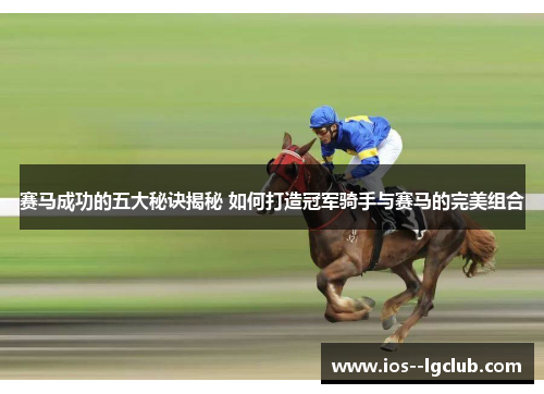 赛马成功的五大秘诀揭秘 如何打造冠军骑手与赛马的完美组合 赛马成功的五大秘诀揭秘 如何打造冠军骑手与赛马的完美组合