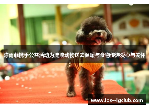 陈雨菲携手公益活动为流浪动物送去温暖与食物传递爱心与关怀