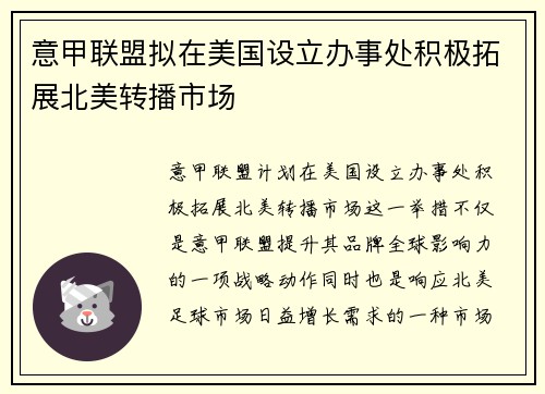 意甲联盟拟在美国设立办事处积极拓展北美转播市场 意甲联盟拟在美国设立办事处积极拓展北美转播市场